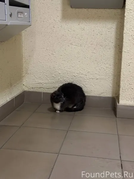 Нижний Новгород, советский рай...