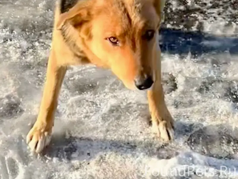 🆘 Помогите найти 🆘 ‼️Продолжаю...