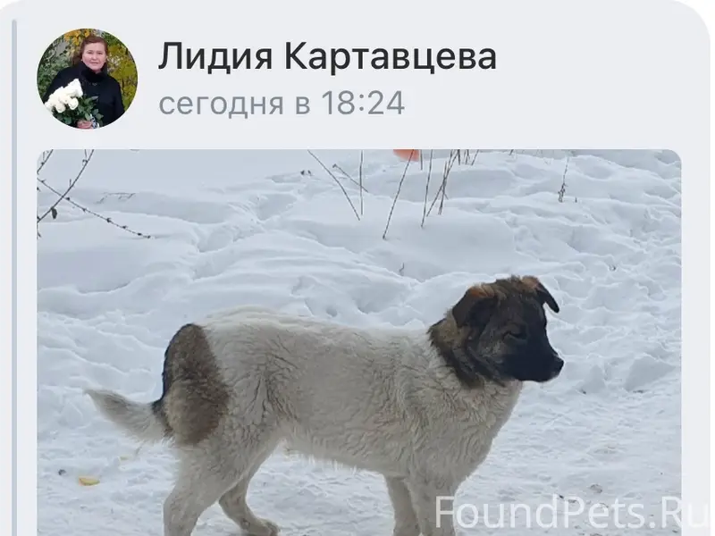 Прошу обратить внимание на инф...