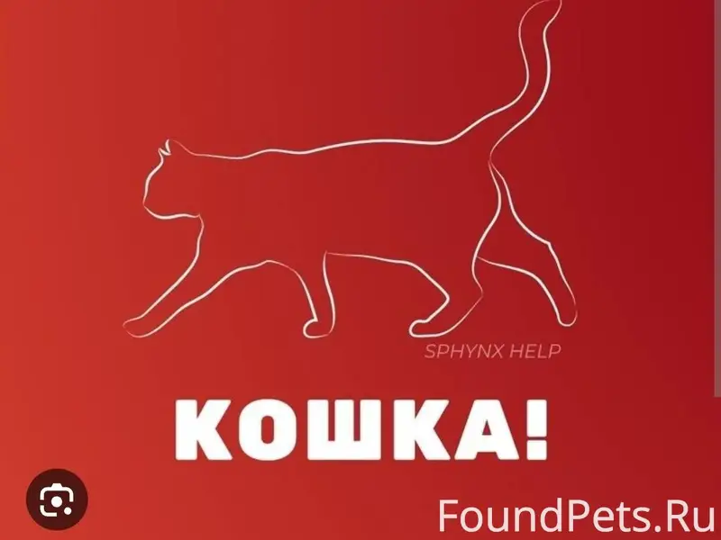 Уфа . SOS! Помогаю информацион...