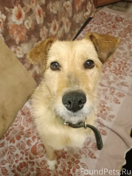 Произошло ЧУДО! Не зря ведь у....