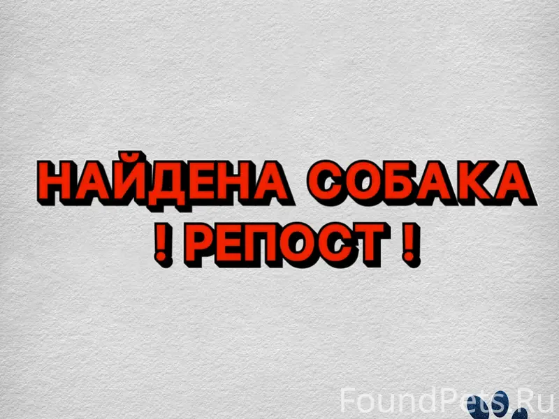 На остановке «Центральный рыно...